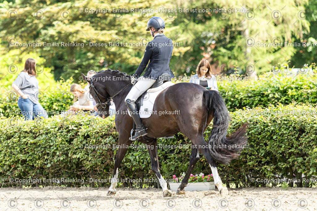 CL5A5932-2 | Emilia Reinking Fotografie - Realisiert mit Pictrs.com