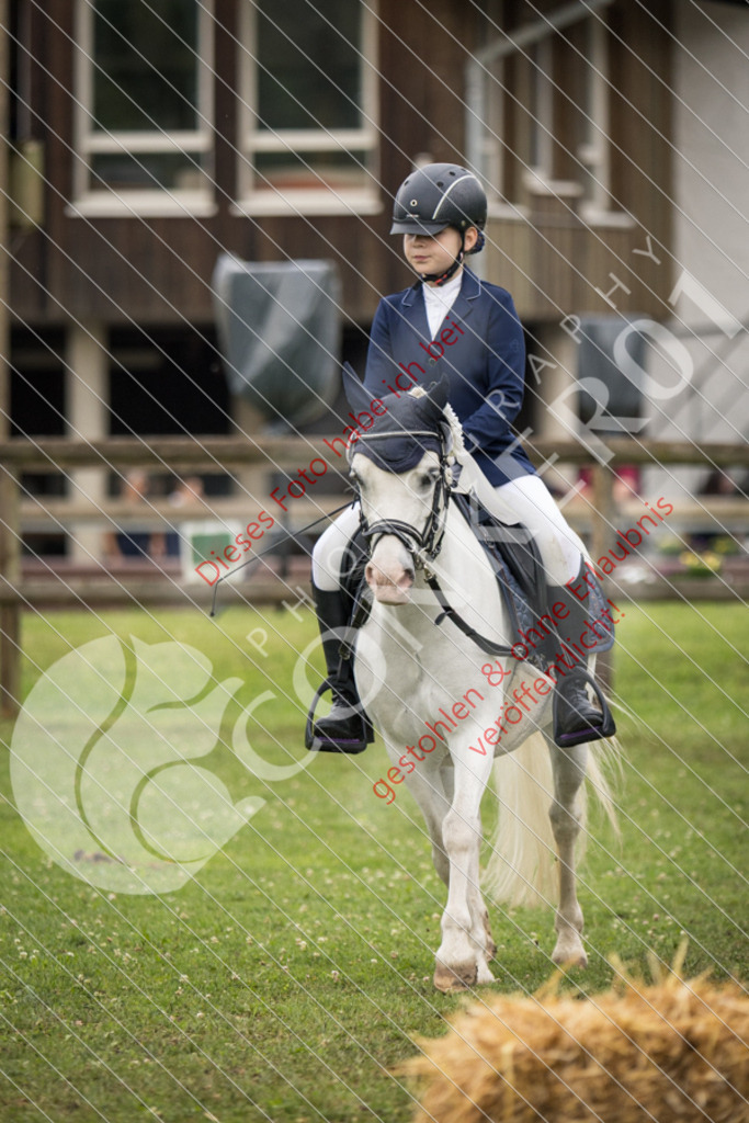 IMG_1943 | Sport-, Event- und Tierfotos in Profiqualität. Einfach auswählen, bestellen und herunterladen. Dein Moment – perfekt festgehalten.