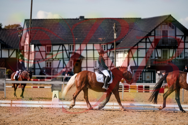2026_10_03_Siefer-Hof_130502_Z63_68309030 | Professionelle Reitsport-, Turnier- und Eventfotografie von Robert Broda. Galerien mit ausgewählten und bearbeiteten Bildern direkt online ansehen und bestellen.