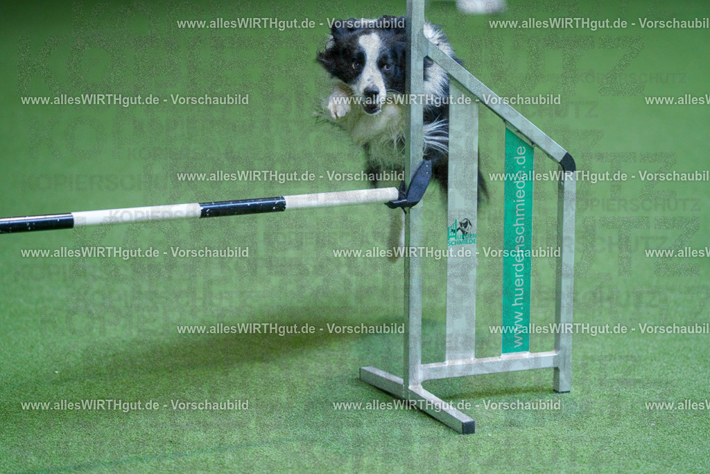 @allesWIRTHgut_Tierfotografie - www.allesWIRTHgut.de - 2604261347-7R502665 | Professionelle Tierfotografie in Mönchengladbach von Daniel Wirth (allesWIRTHgut). Liebevolle & natürliche Bilder von Hunden & Katzen für unvergessliche Erinnerungen.