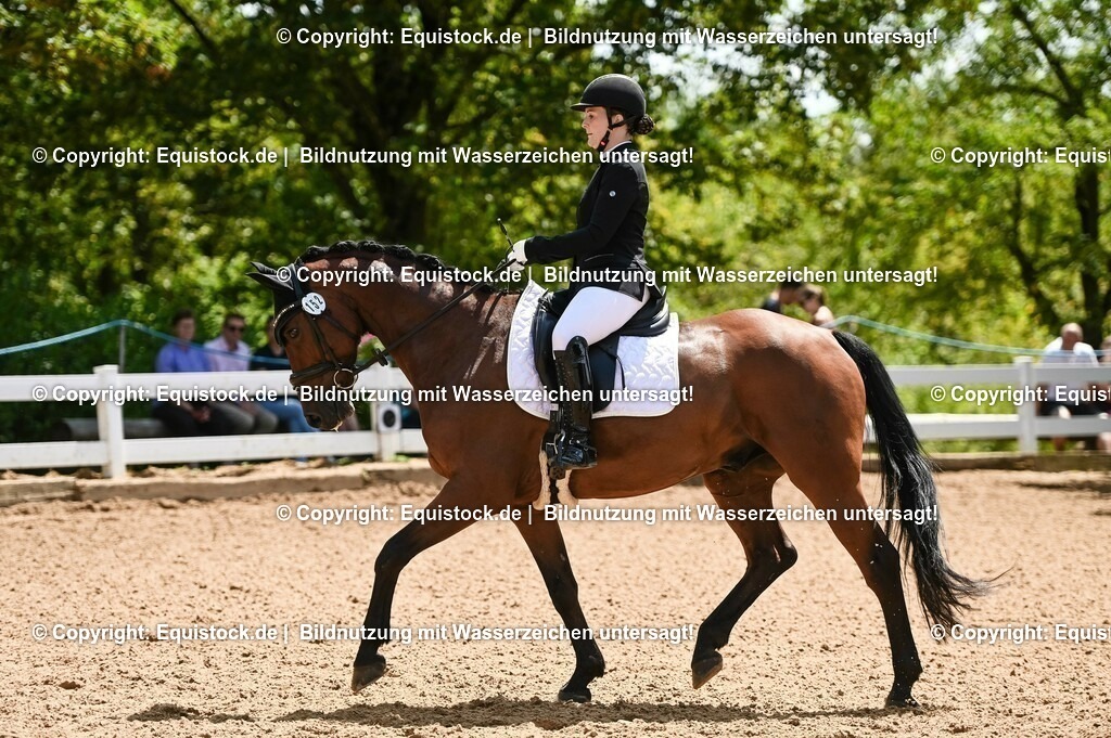20230716_03_Dressurprfg. Kl.L - Tr._0083 | equistock
