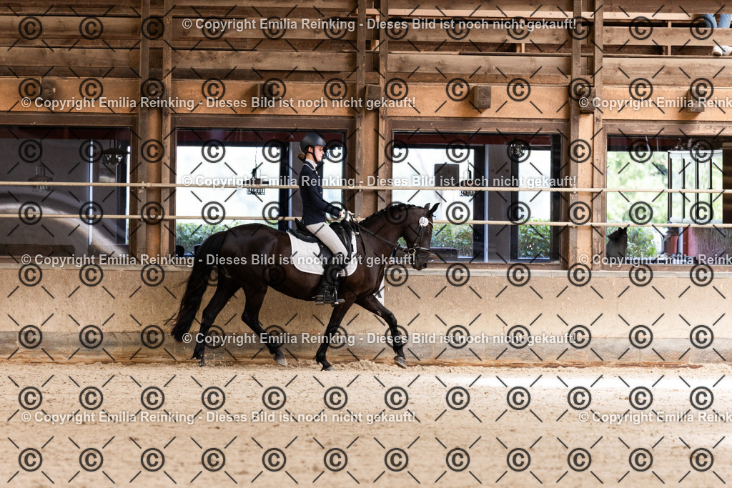 CL5A3953 | Emilia Reinking Fotografie - Realisiert mit Pictrs.com