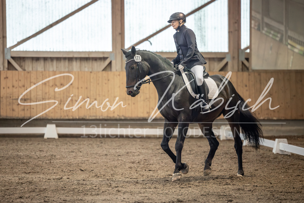 20251011-_3LI6457 | Tierfotografie Pferde, Hunde, Katzen, Haustiere.
Turnierfotografie Reitturniere, Reiten, Springreiten, Dressur in Hanau, dem Main-Kinzig-Kreis und dem Rhein-Main- Gebiet um Frankfurt
