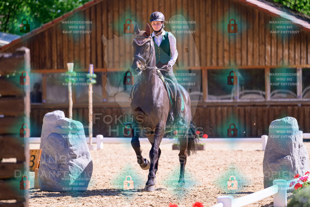 01052026-Giesenbach-02-Stiltrail-0477 | Fokus Hufschlag Fotografie - Realisiert mit Pictrs.com