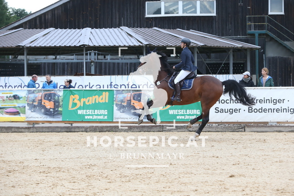 DL2Q4014 | Willkommen bei Brunnmayr - Design & Fotografie – Ihrem Spezialisten für Reitturniere und Pferdeveranstaltungen in Oberösterreich, Salzburg und Bayern! Seit über 17 Jahren sind wir leidenschaftlich dabei.