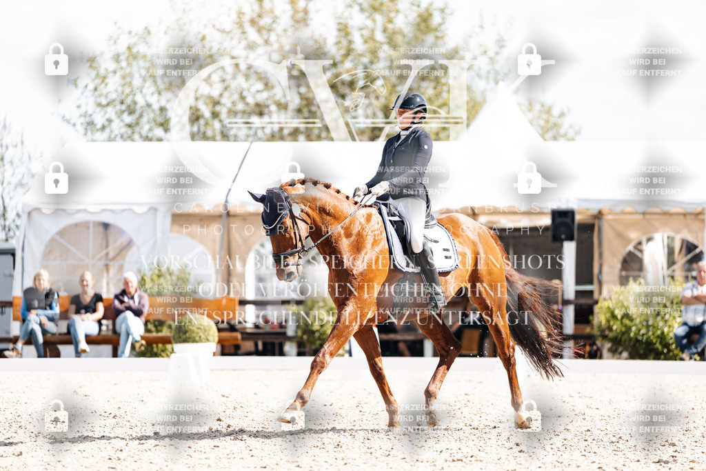 CK902610 | Turnierfotografie Pferdefotografie Trier Rheinland-Pfalz Pferdesport Reitsport Tierfotografie Sportfotografie Pferdevideo Pferdevideografie Equestrianvideography equestrianphotography  - Realisiert mit Pictrs.com