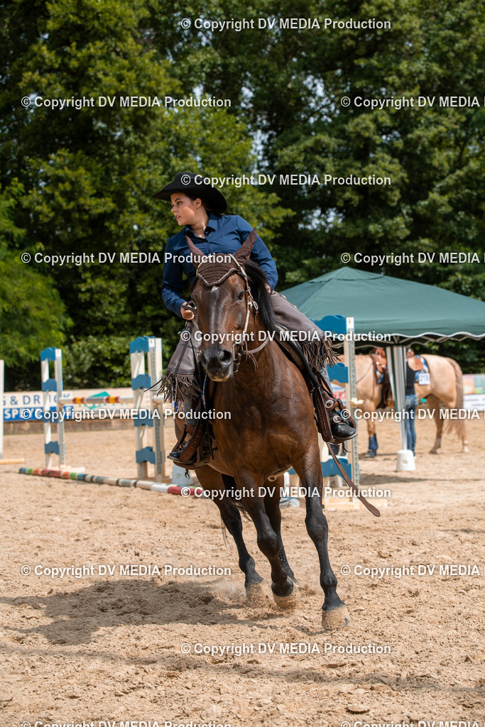 EWP_6132 | dv-media-shop - Realisiert mit Pictrs.com