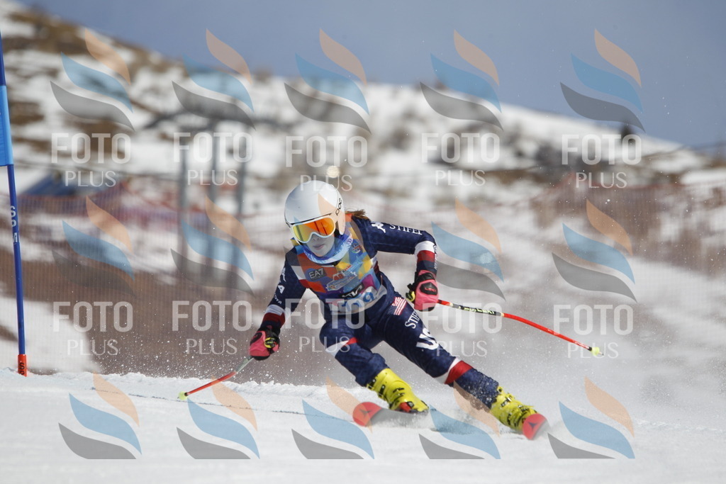 _U3G0672 | holidayphoto