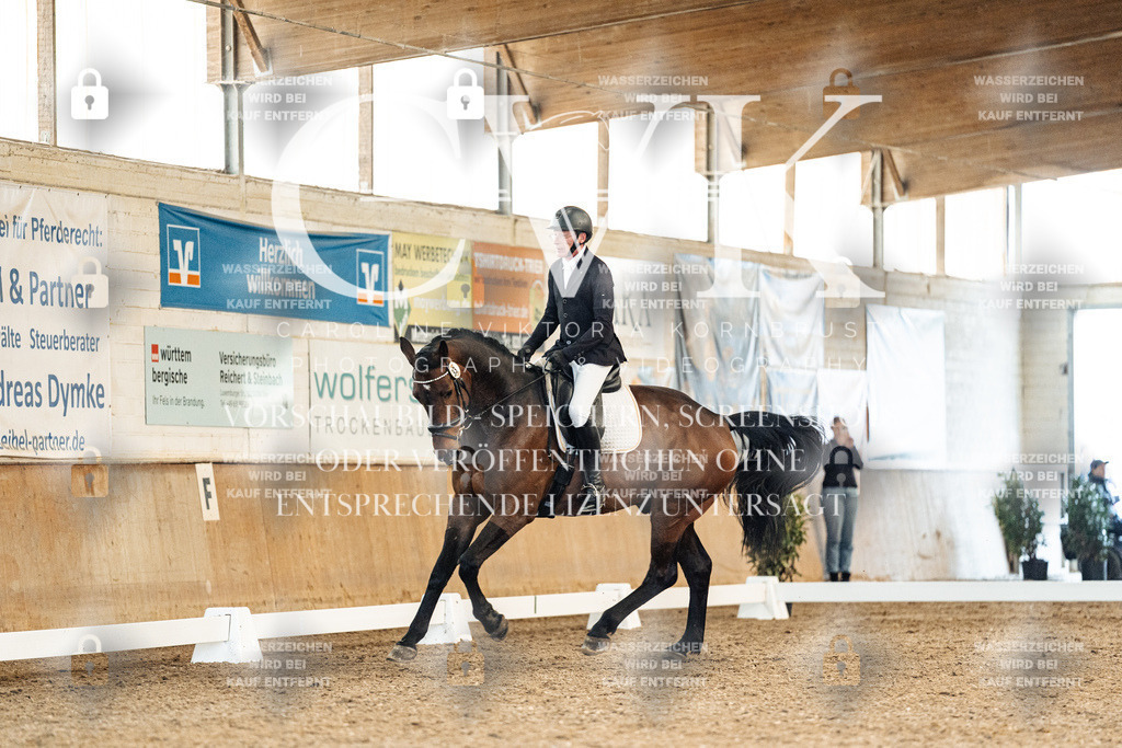 CK909041 | Turnierfotografie Pferdefotografie Trier Rheinland-Pfalz Pferdesport Reitsport Tierfotografie Sportfotografie Pferdevideo Pferdevideografie Equestrianvideography equestrianphotography  - Realisiert mit Pictrs.com