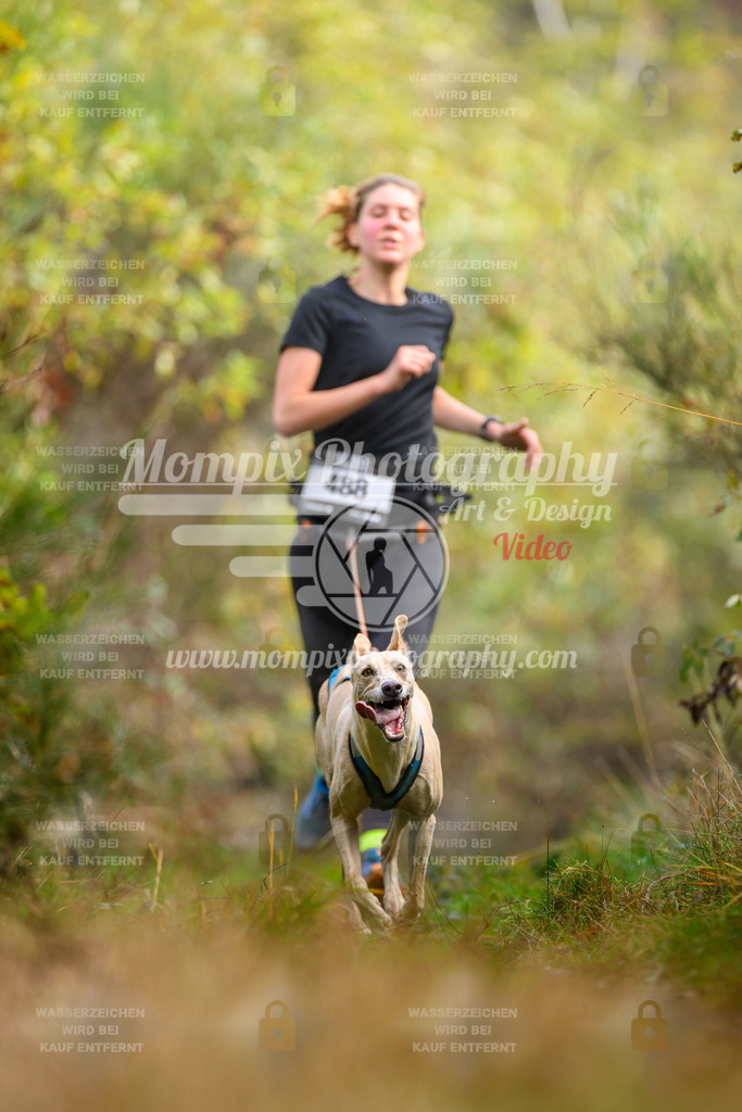 MompixPhotography_20TSB_E4_Run-120 | PayLife