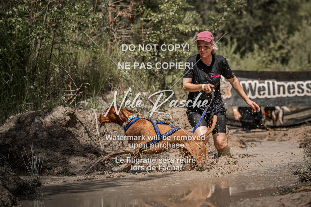 nelerasche_Hoope2026_Sa1230-1300_444 | nelerasche