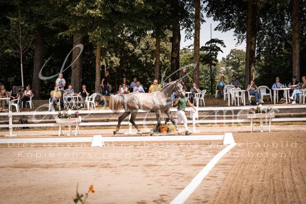 1.Fr00008 | Leoni Ertmer Photography - Realisiert mit Pictrs.com