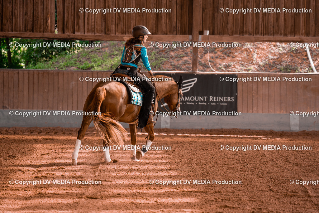 NE201127 | dv-media-shop - Realisiert mit Pictrs.com