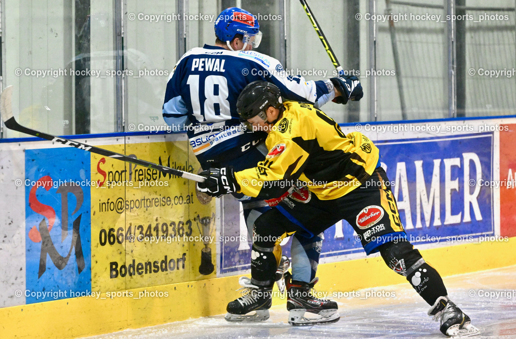 ESC Steindorf vs. EC Hornets Spittal 20.2.2024 | #18 Pewal Martin ESC Steindorf, #81 Sivec Peter Paul EC Hornets Spittal, ESC Steindorf vs. EC Hornets Spittal 20.2.2024, ESC Steindorf vs. EC Hornets Spittal 20.2.2024 am 20.02.2024 in Steindorf (Ossiachersee Halle), Austria, (Photo by Bernd Stefan)
