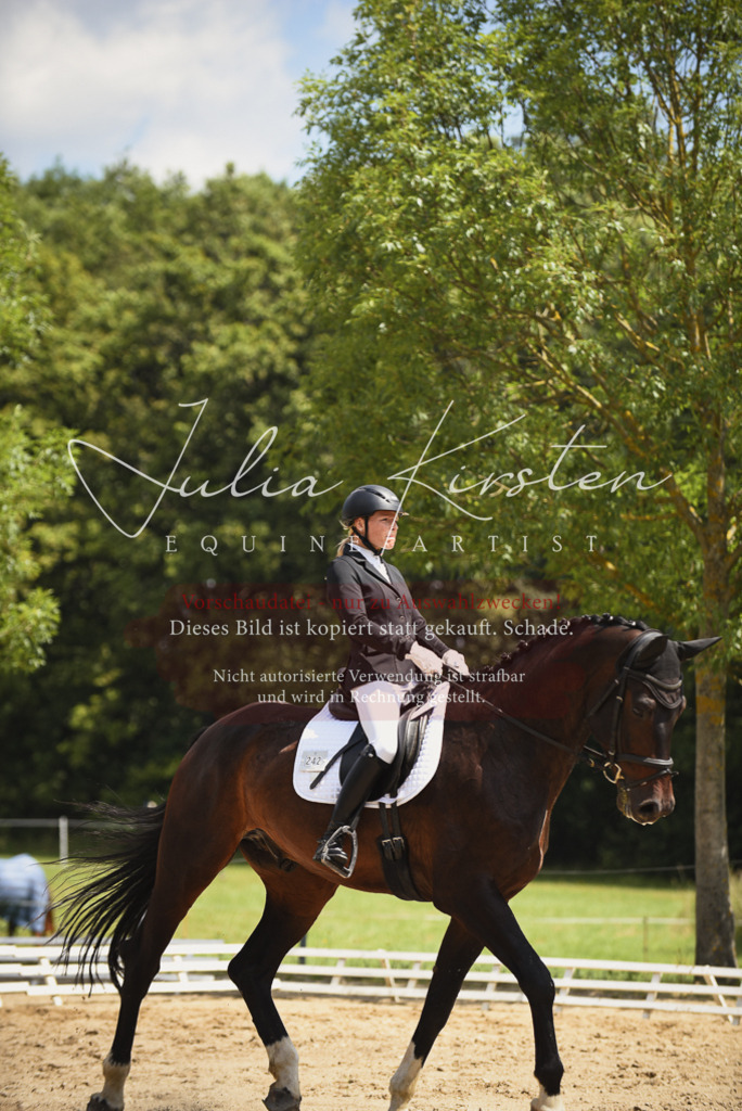 DSC_1193 | Pferde- und Turnierfotografie in Westsachsen. Pferdeportraits, Auftragszeichnungen und intuitive Kunst.