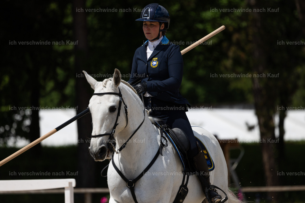PI26_SP_StoibphotographyC2_C3691.CR3 | working equitationturnier fotograf videograf stoibphotography marixx film working equitation deutschland reitsport turnierfotografie eventfotografie equestrian events