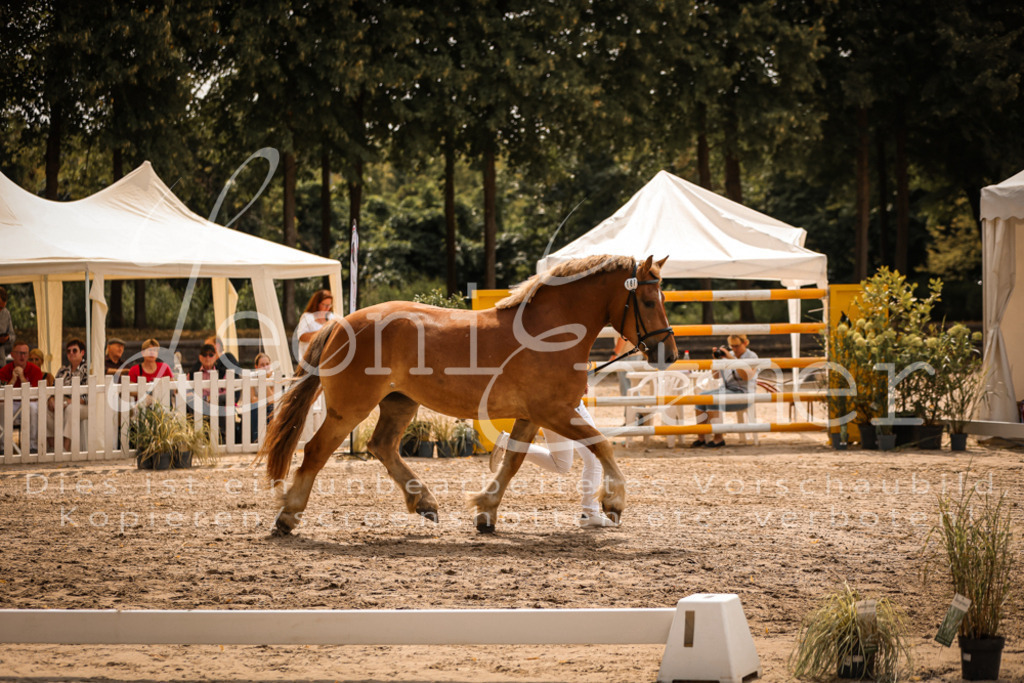 3.Sa00014 | Leoni Ertmer Photography - Realisiert mit Pictrs.com