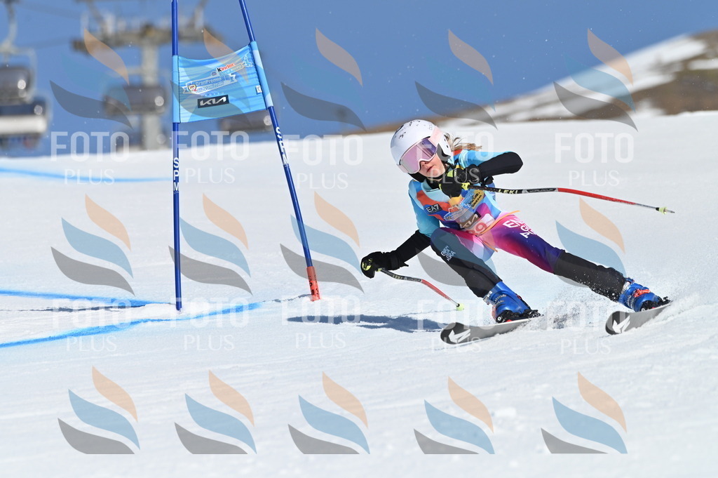 BGV_8335 | holidayphoto