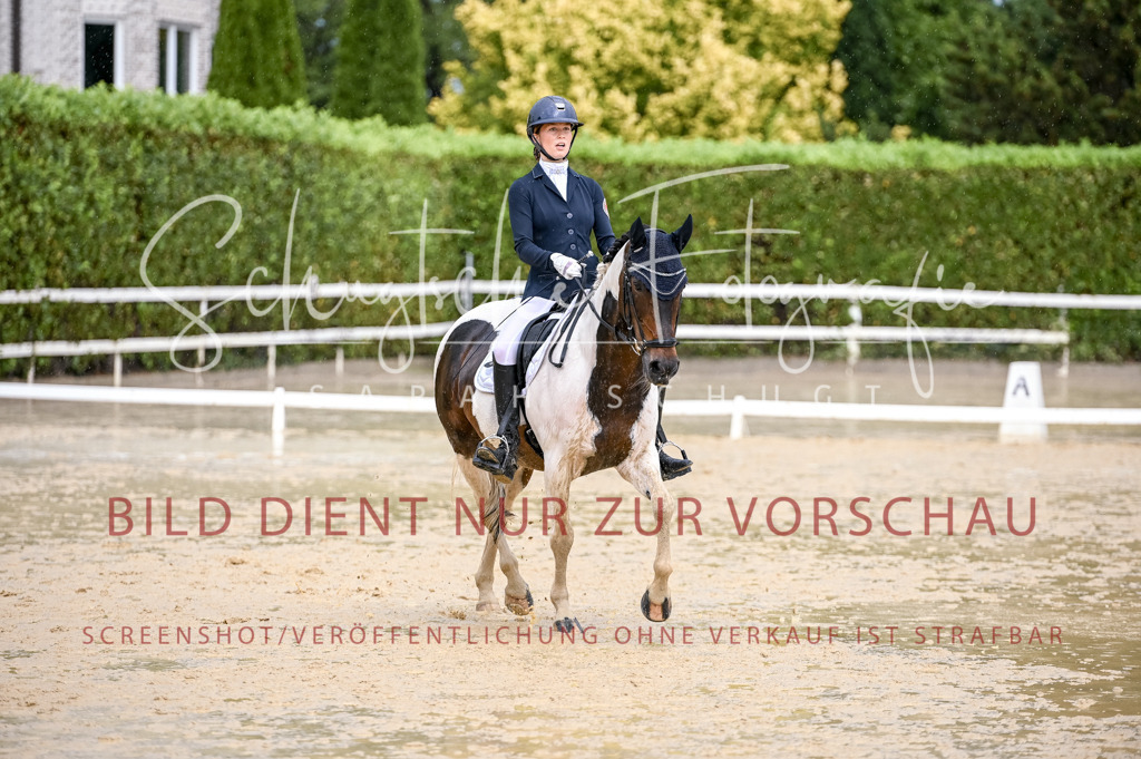 Schugtsche-Aluta25-55.Dressurreiterprf.L1Tr-375 | Schugtsche Fotografie - Realisiert mit Pictrs.com