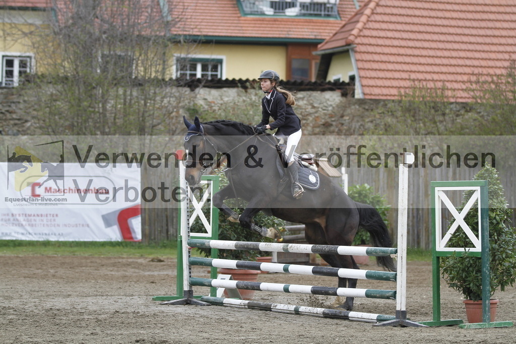 _MG_4484 | equestrian-live-com