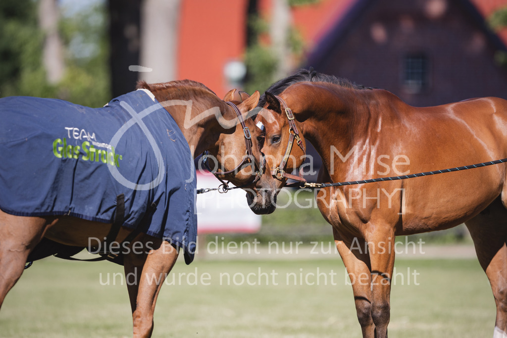 220603_CSI-Wohlde_Chillen-10 | CSI** Wohlde
Chill Out Area
03.06.2022