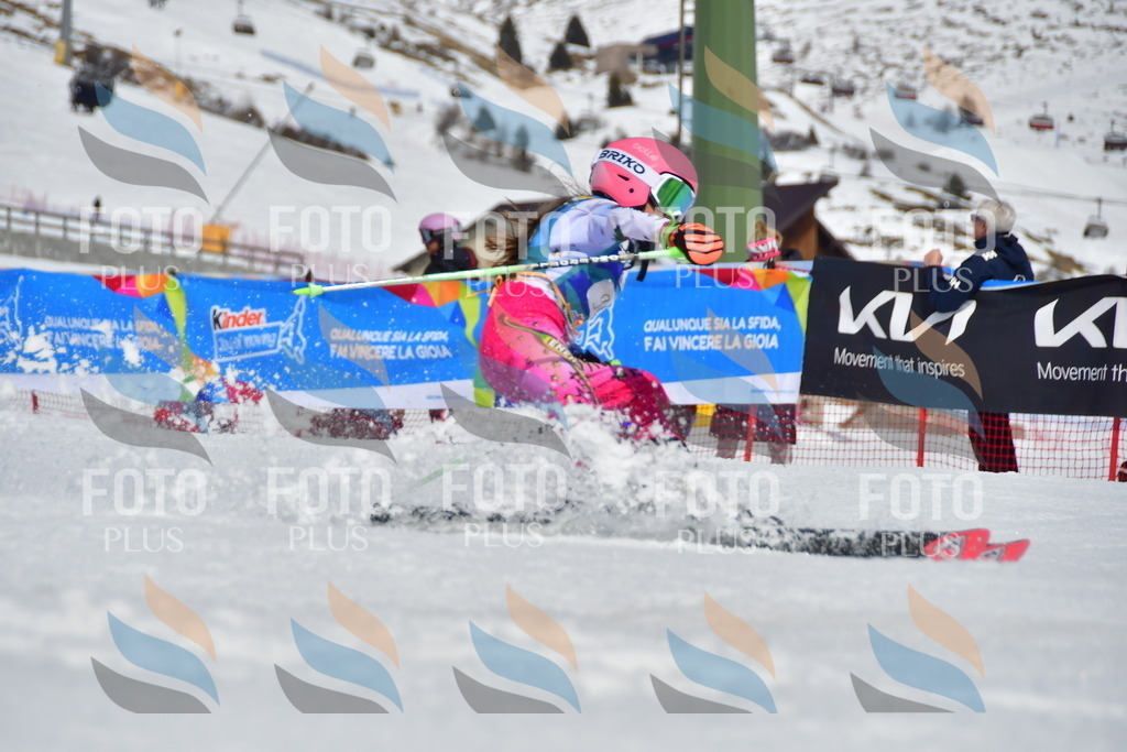 _DSC7554 | holidayphoto