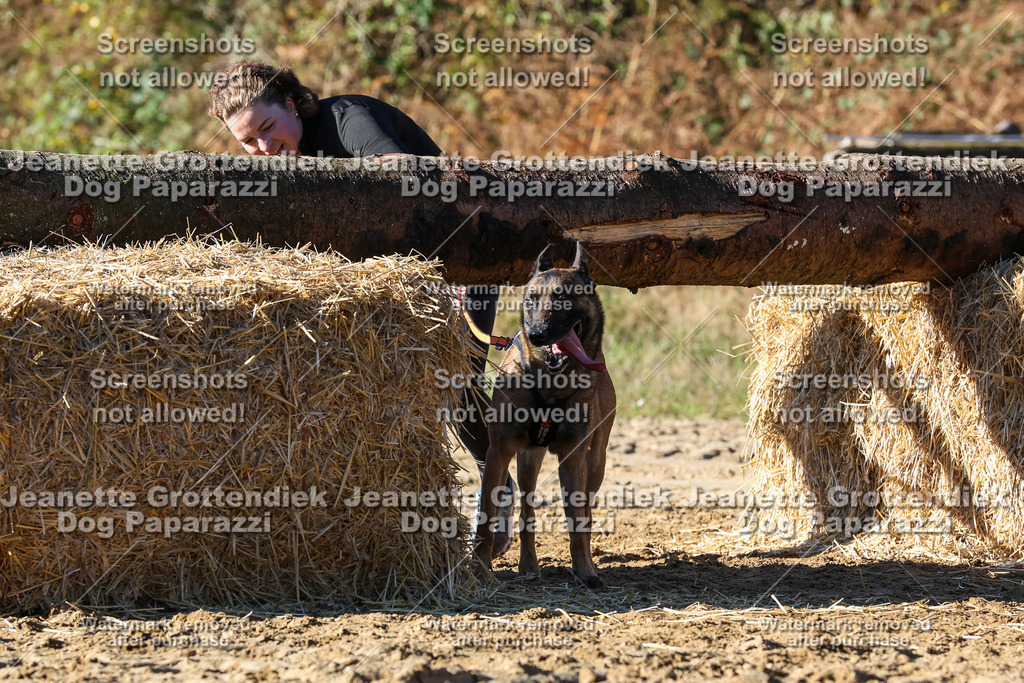 Dog Paparazzi - Strongdog 10-25-2163 | Dog Paparazzi Jeanette Grottendiek Fotografie & Videografie - Realisiert mit Pictrs.com