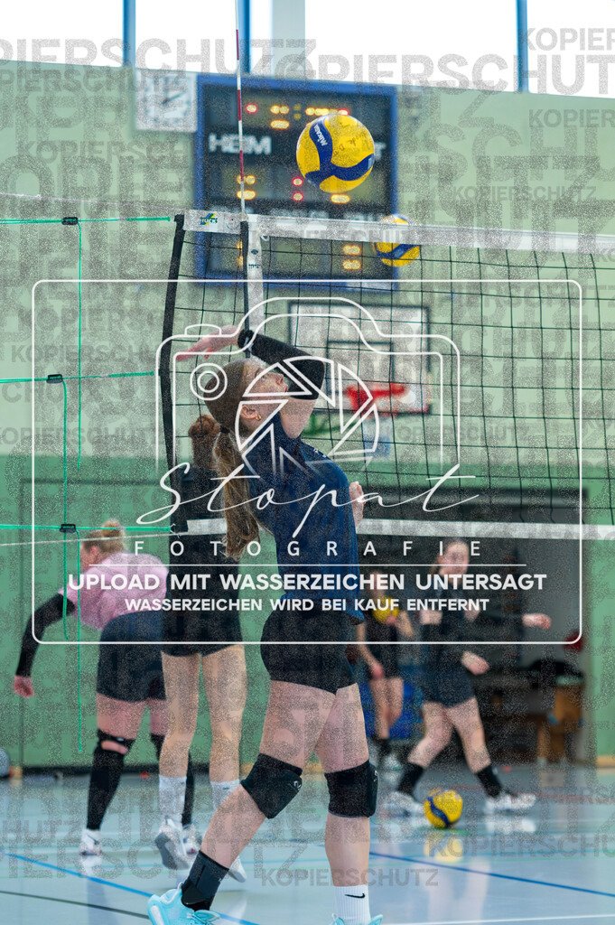 TVJ-1000 | Volleyball Doppelspieltag der 2. Damenmannschaft des TV Jahn Walsrode in der Bezirksklasse 4 Bremen/Lüneburg gegen SG Örtzetal II &amp; SVG Lüneburg VII  in der Sporthalle Gymnasium Walsrode, Walsrode (Simon Paul Stopat) - Realisiert mit Pictrs.com