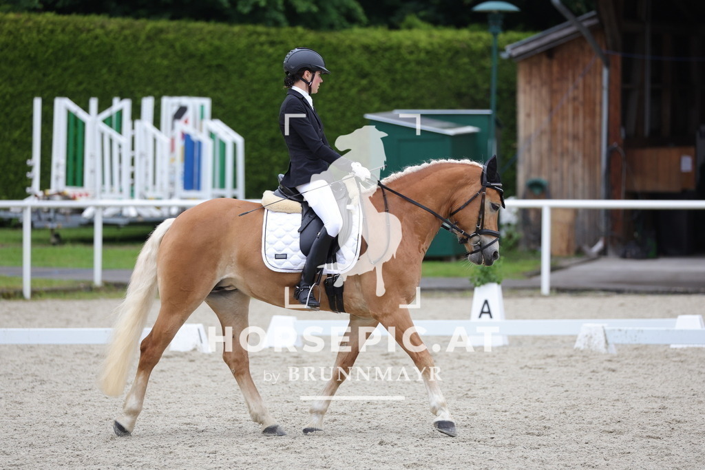 0P6A4392 | Willkommen bei Brunnmayr - Design & Fotografie – Ihrem Spezialisten für Reitturniere und Pferdeveranstaltungen in Oberösterreich, Salzburg und Bayern! Seit über 17 Jahren sind wir leidenschaftlich dabei.