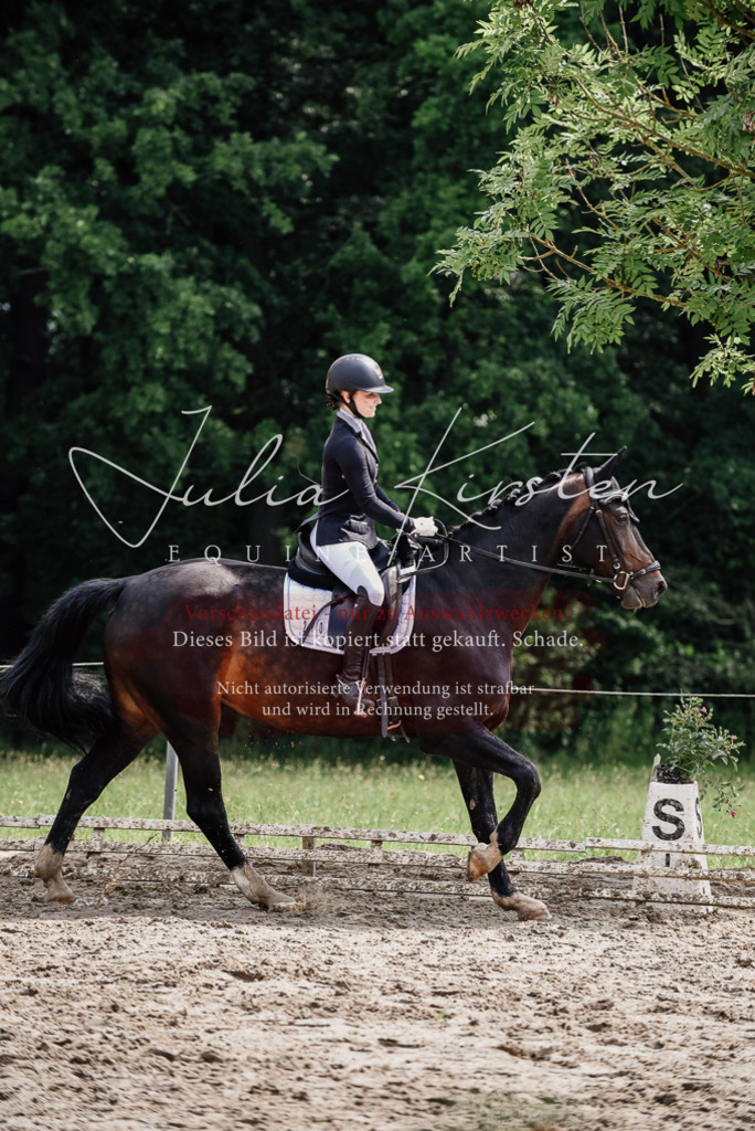 DSC_0573 | Pferde- und Turnierfotografie in Westsachsen. Pferdeportraits, Auftragszeichnungen und intuitive Kunst.