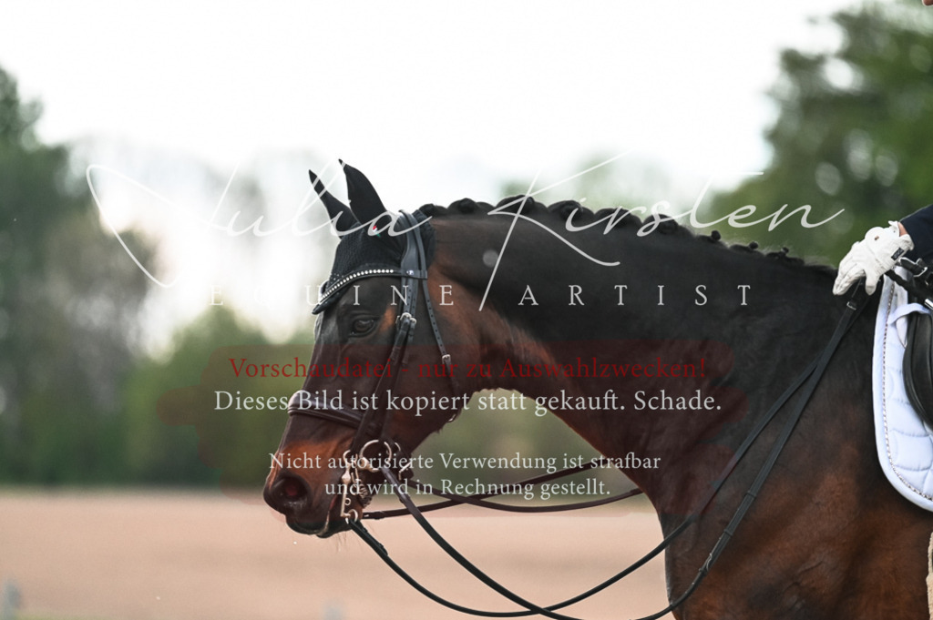 20230514_JK-Röhrsdorf-21-359 | Pferde- und Turnierfotografie in Westsachsen. Pferdeportraits, Auftragszeichnungen und intuitive Kunst.