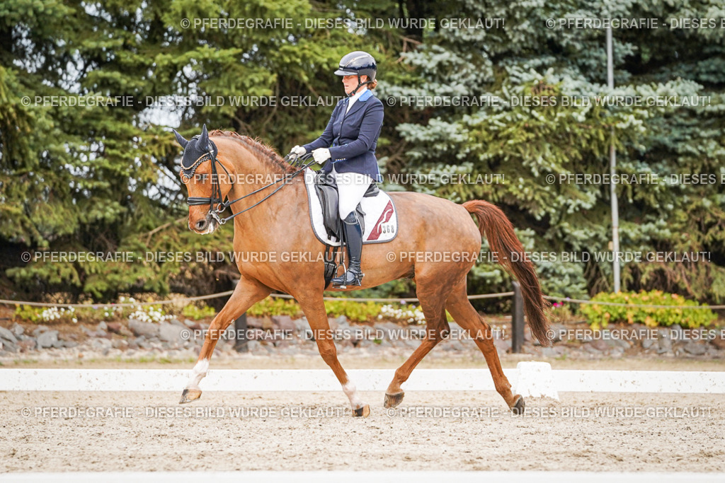 DSC07500 | Pferdegrafie