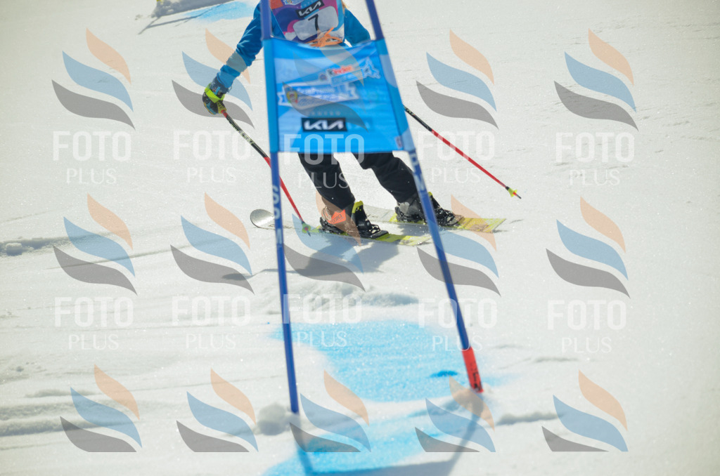 _ELE4501 | holidayphoto