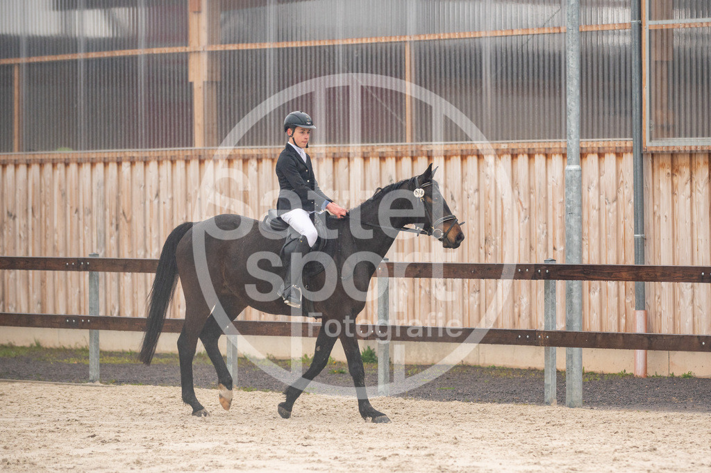 DSC_3634 | sattelsport - Realisiert mit Pictrs.com