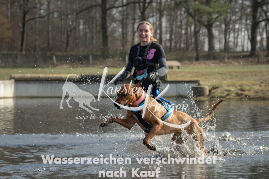 1233_ZZ90509 | kk-dogfotos