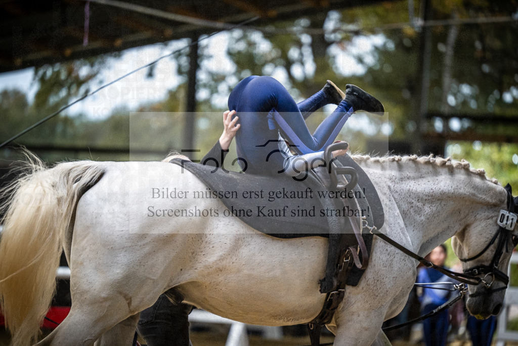 DOS_0249 | Entdecke hochwertige Reitturnierfotos von Foto Oger. Professionell, emotional und authentisch – jetzt Lieblingsmomente im Shop bestellen.Deutschlandweite Turnierfotografie. - Realisiert mit Pictrs.com