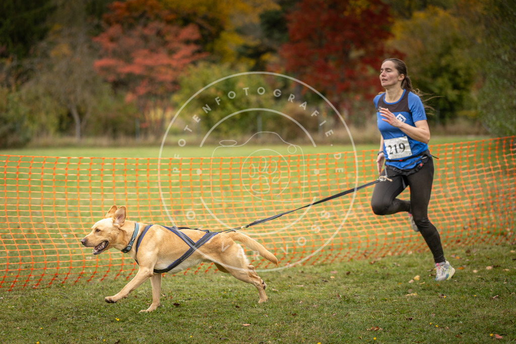 Pfotenfotografie_DV3A4667 | Hundefotografie, Tierfotograf, Pfotenfotografie, Fotoshooting Hund, Hunde Portrait, Hundesport, Hundeportraits, Heideshooting, Hunde, Sportfotograf, Hundefotograf, Turnierhundsport, THS,  - Realisiert mit Pictrs.com