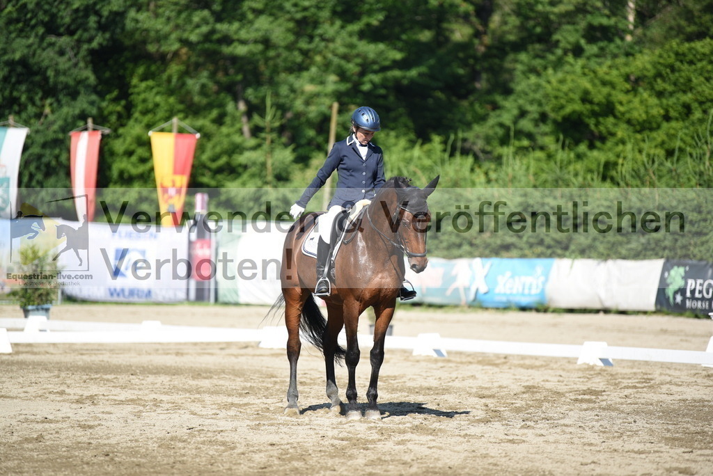 DSC_7437 | equestrian-live-com