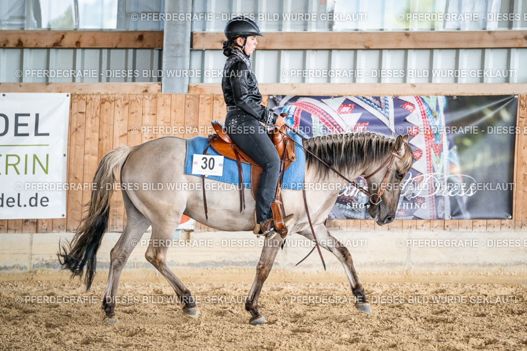 DSC09283 | Pferdegrafie