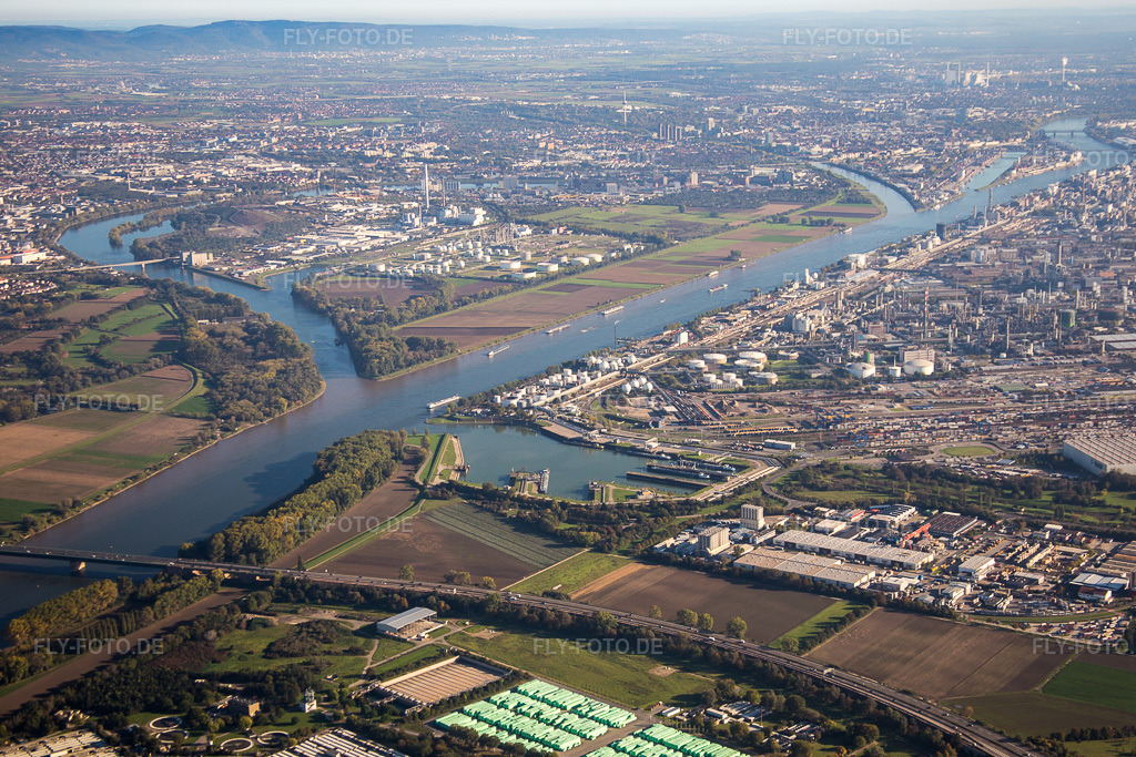 Luftbild: Insel am Ufer des Flußverlaufes des Rhein und des Friesenheimer Altrheins im Ortsteil Friesenheimer Insel im Ortsteil Neckarstadt-West in Mannheim im Bundesland Baden-Württemberg in Deutschland. Foto: IMG_074873.jpg vom 18.10.2014 durch Werner Riehm/FLY-FOTO.de