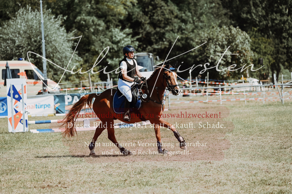 DSC_9633 | Pferde- und Turnierfotografie in Westsachsen. Pferdeportraits, Auftragszeichnungen und intuitive Kunst.