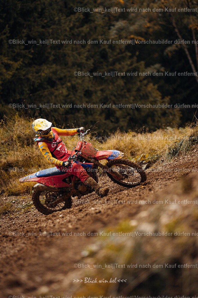 E68A3938 | blick_win_kel