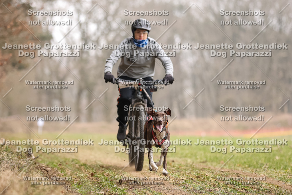 Dog Paparazzi - Plate 2026-57 | Dog Paparazzi Jeanette Grottendiek Fotografie & Videografie - Realisiert mit Pictrs.com