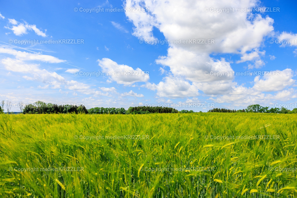 _J3A7872 | medienkrizzler - Realisiert mit Pictrs.com