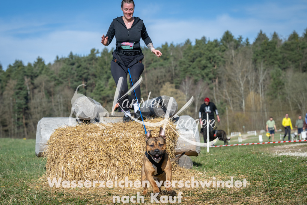 0935_ZZ94234 | kk-dogfotos