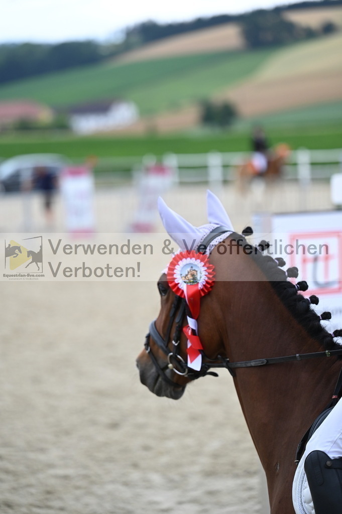 DSC_5438 | equestrian-live-com