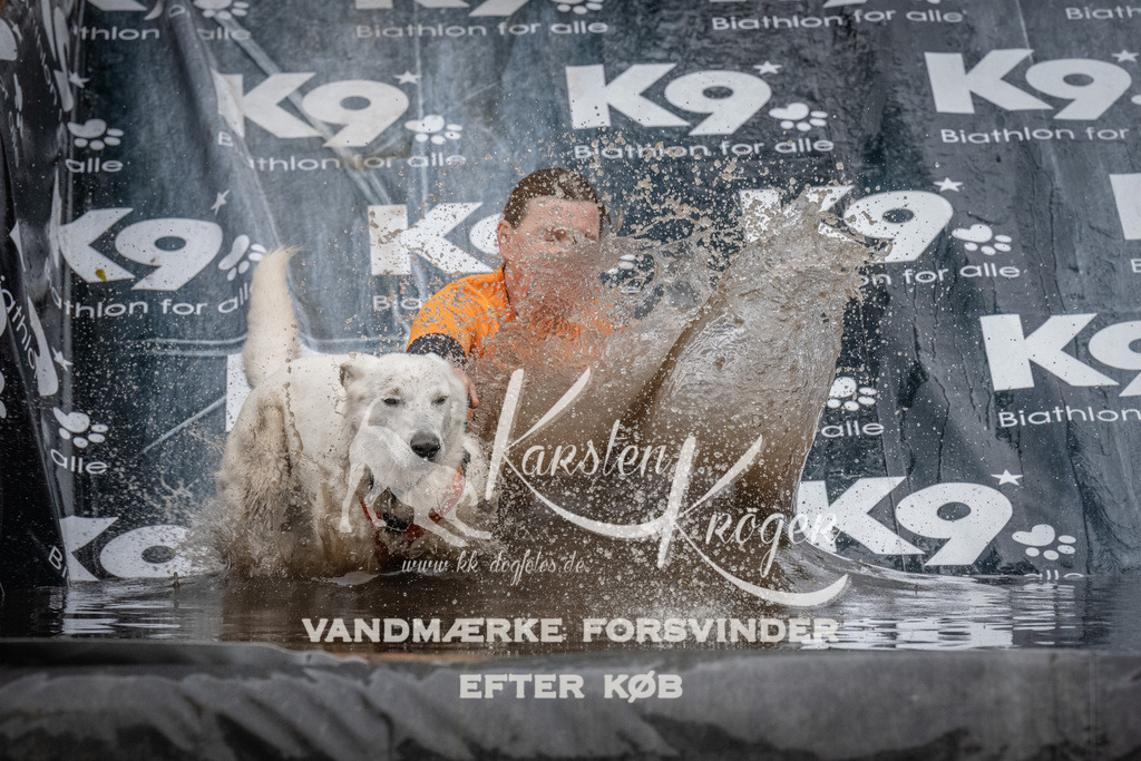 1102_ZZ91443 | kk-dogfotos
