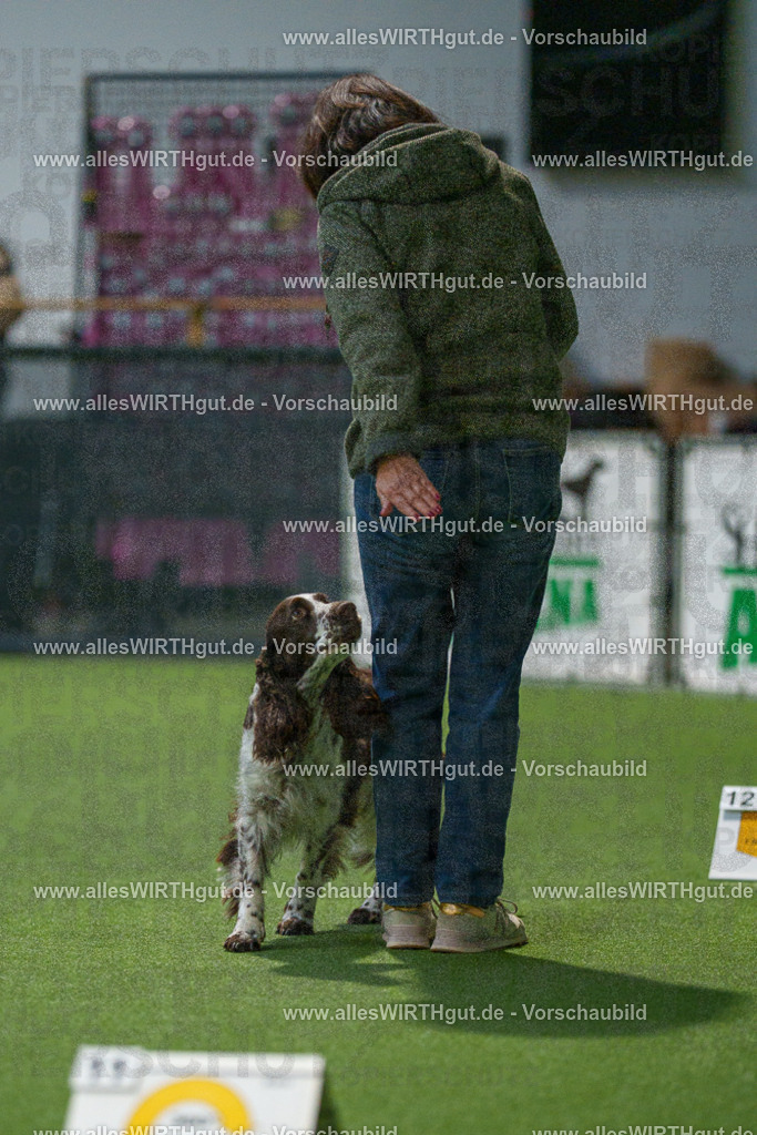 7R505175 | Professionelle Tierfotografie in Mönchengladbach von Daniel Wirth (allesWIRTHgut). Liebevolle & natürliche Bilder von Hunden & Katzen für unvergessliche Erinnerungen.