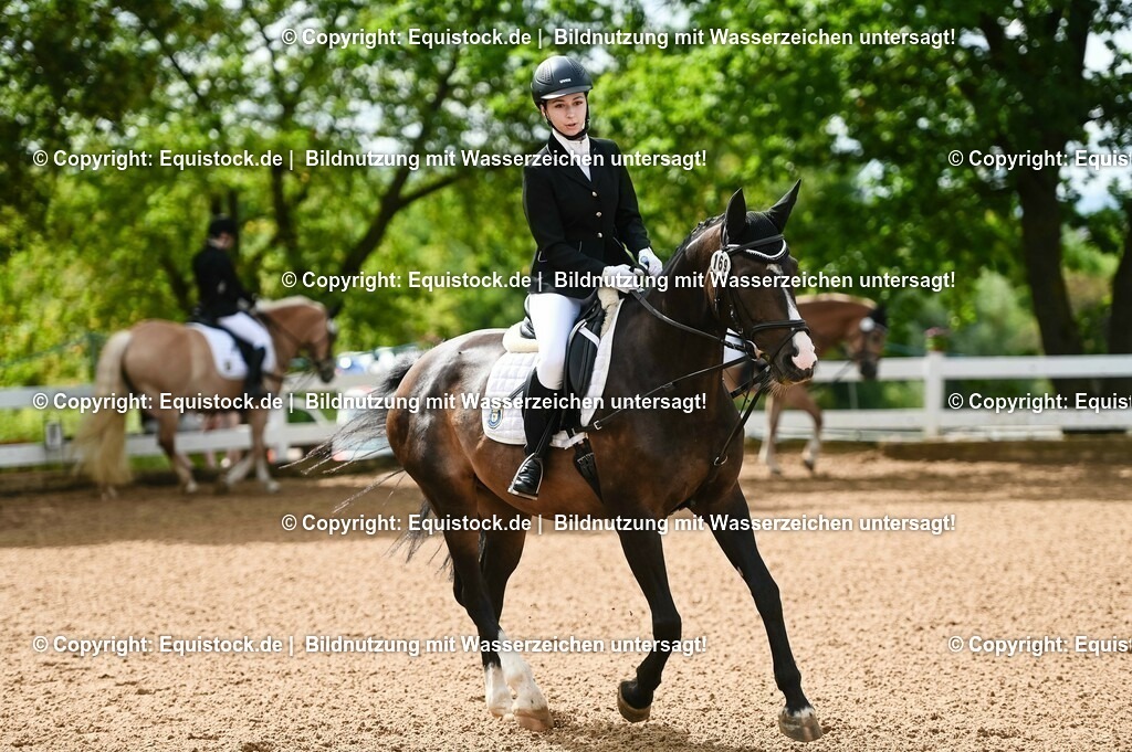 20230716_10-1_Reiter-WB Schritt - Trab - Galopp_0127 | equistock