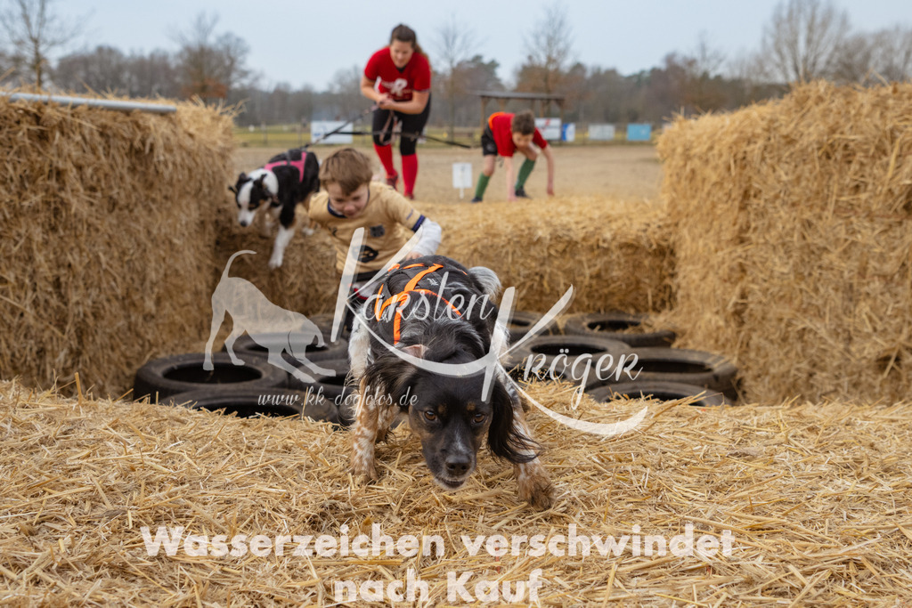 0904_ZZ96447 | kk-dogfotos